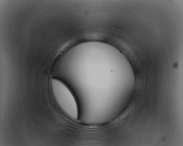 X0000102490168200808081104