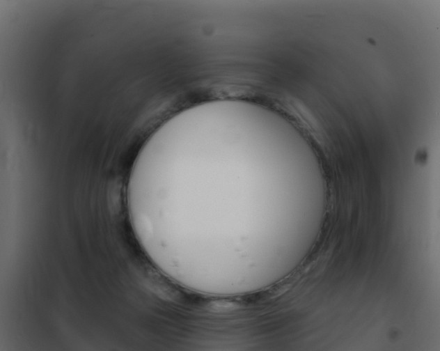 X0000102490169200808081104