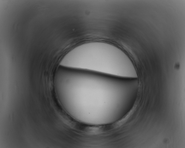 X0000102490170200808081104
