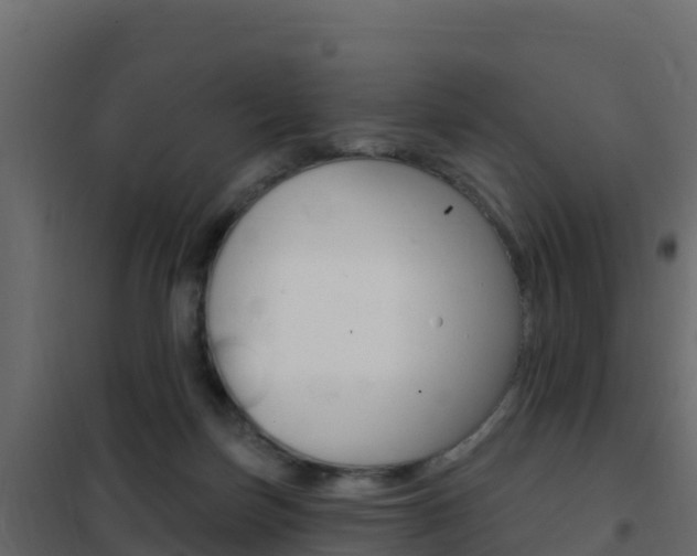 X0000102490171200808081104