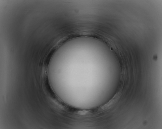 X0000102490172200808081104