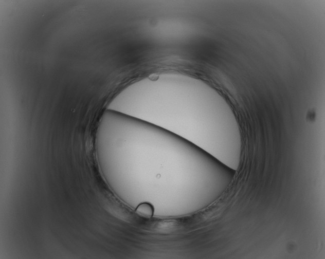 X0000102490173200808081104