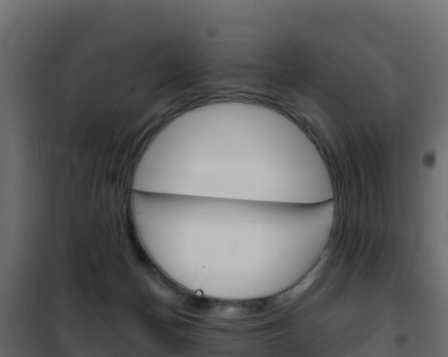 X0000102490174200808081104