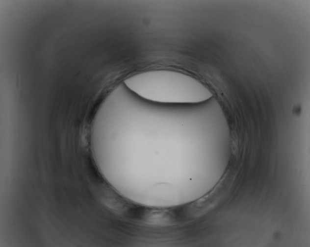 X0000102490175200808081104