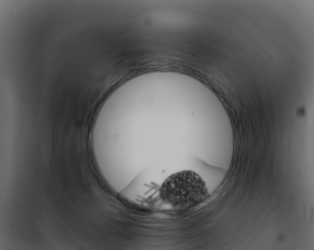 X0000102490176200808081104