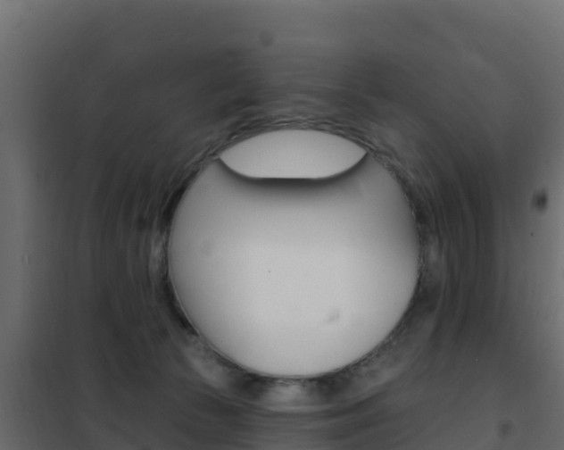 X0000102490177200808081104