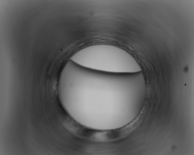 X0000102490178200808081104