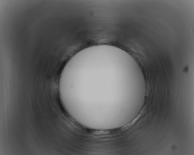 X0000102490179200808081104