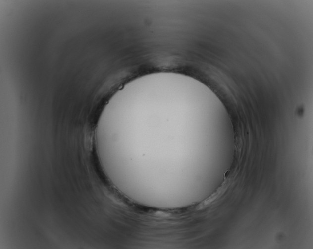 X0000102490180200808081105