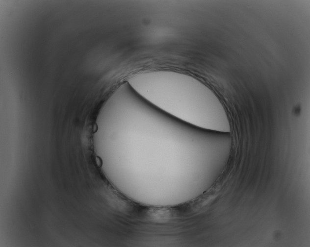X0000102490181200808081105