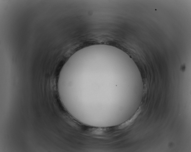 X0000102490182200808081105