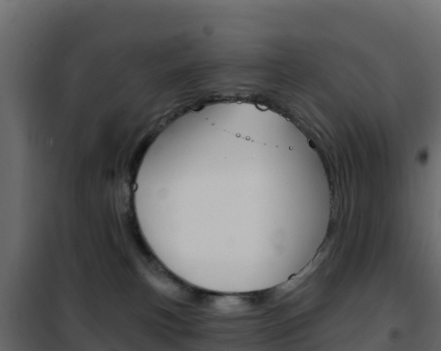 X0000102490183200808081105