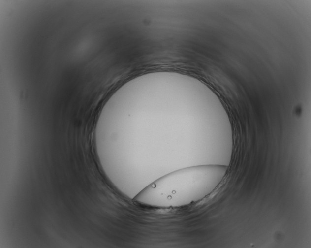 X0000102490184200808081105