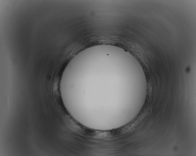 X0000102490185200808081105