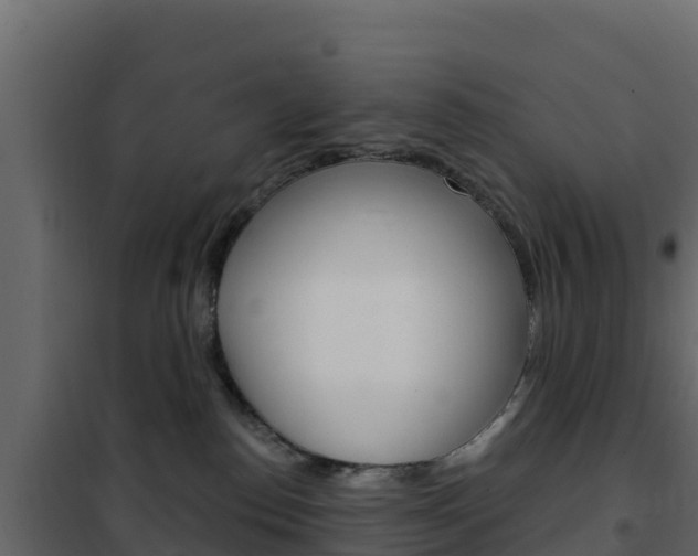 X0000102490186200808081105