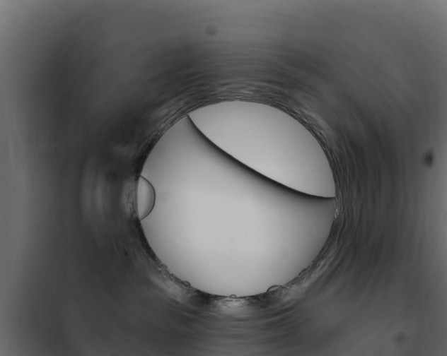 X0000102490189200808081105