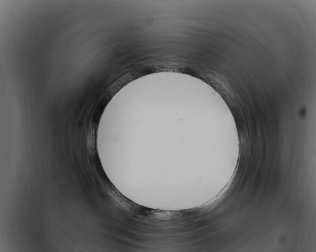 X0000102490190200808081105