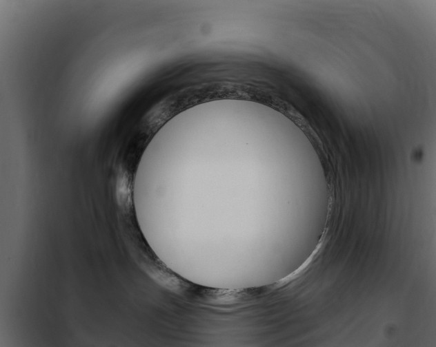 X0000102490191200808081105