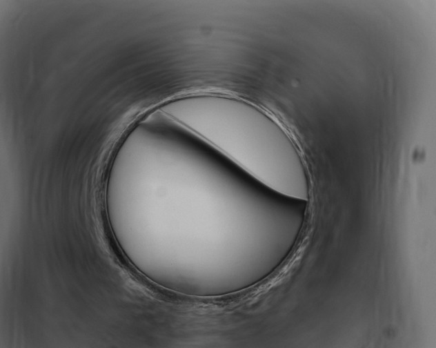 X0000102490193200808081104