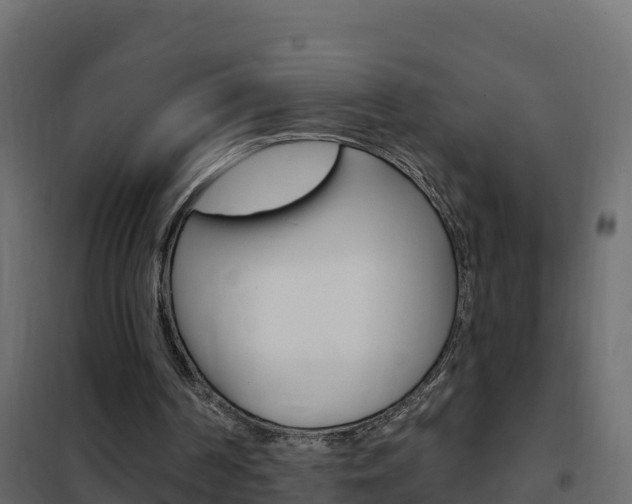 X0000102490194200808081104