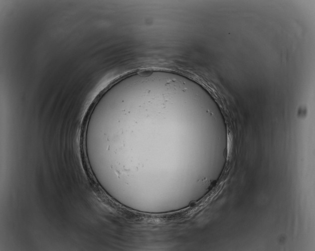 X0000102490195200808081104