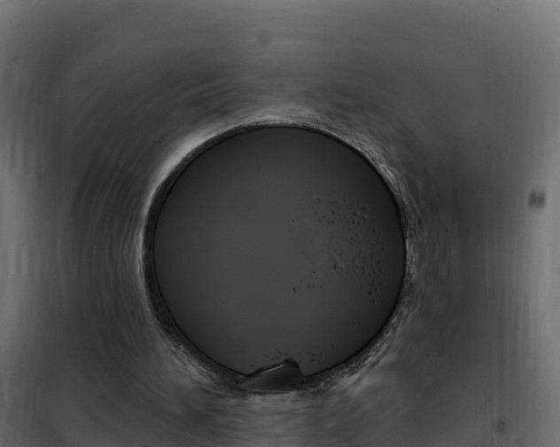 X0000102490196200808081104
