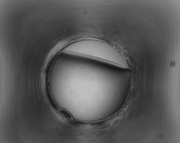 X0000102490197200808081104