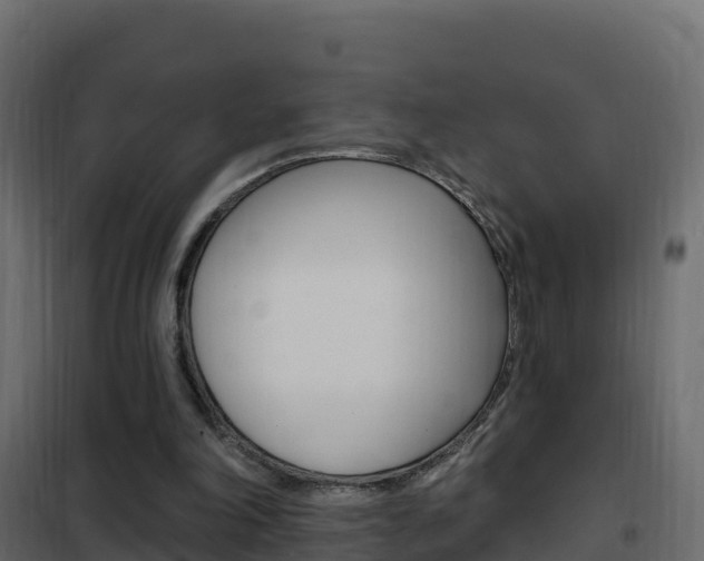 X0000102490198200808081104