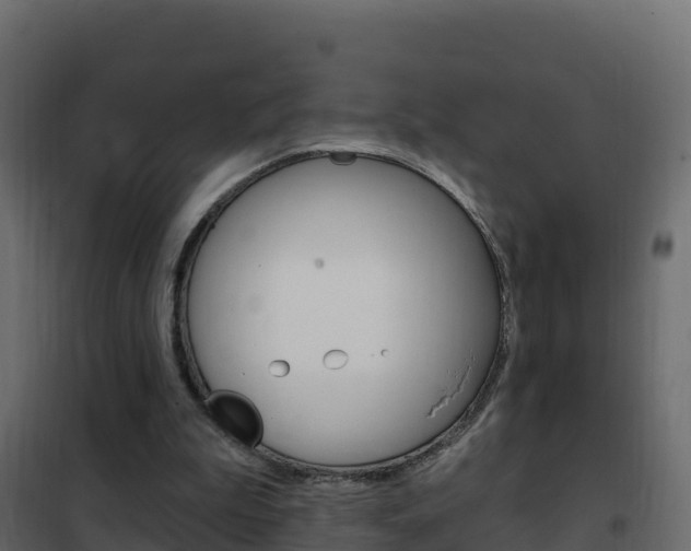 X0000102490199200808081104