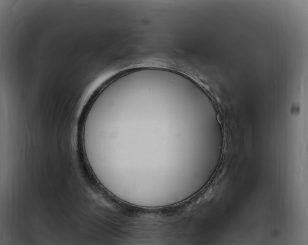 X0000102490200200808081104