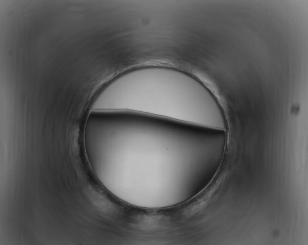 X0000102490201200808081104