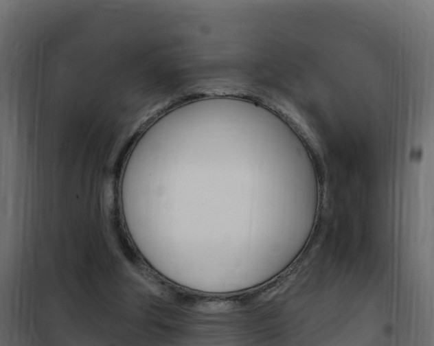 X0000102490202200808081104
