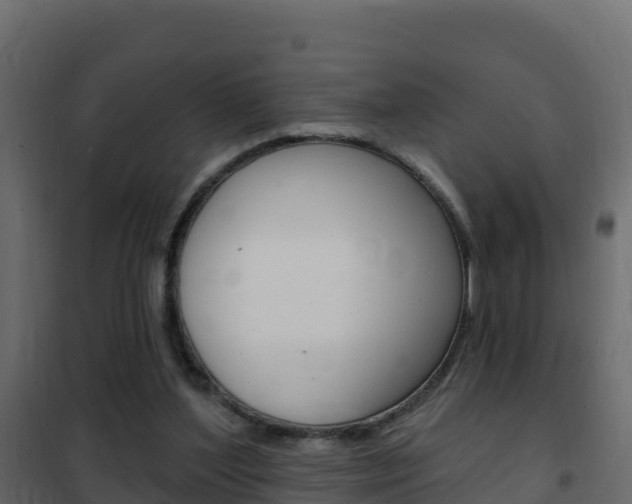 X0000102490204200808081104
