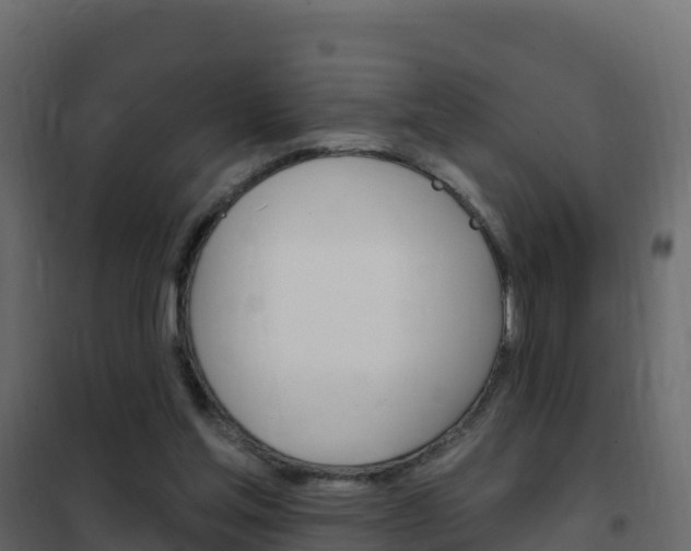 X0000102490205200808081104