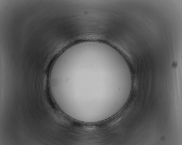 X0000102490206200808081104