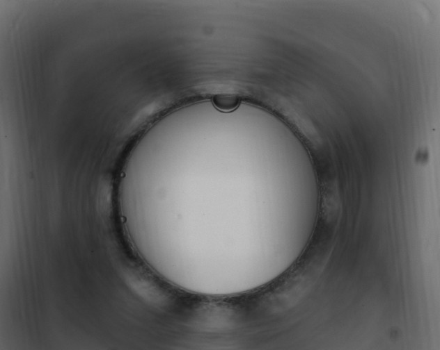 X0000102490207200808081104
