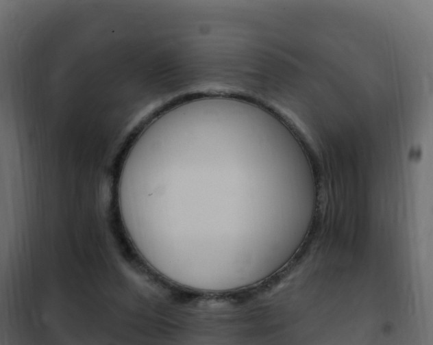 X0000102490208200808081104