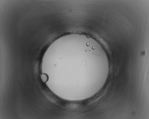 X0000102490209200808081104