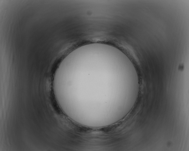 X0000102490210200808081104