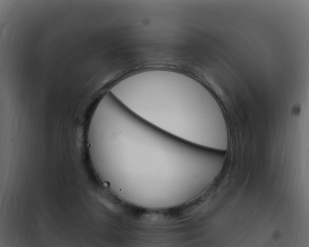 X0000102490211200808081104