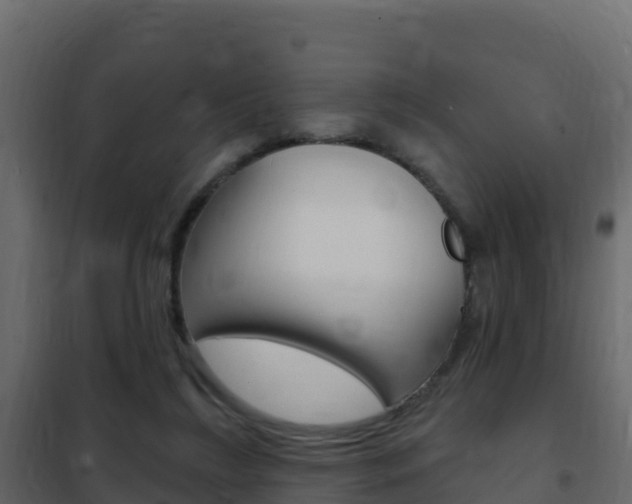 X0000102490212200808081104