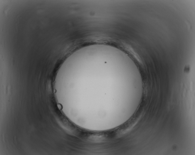 X0000102490213200808081104