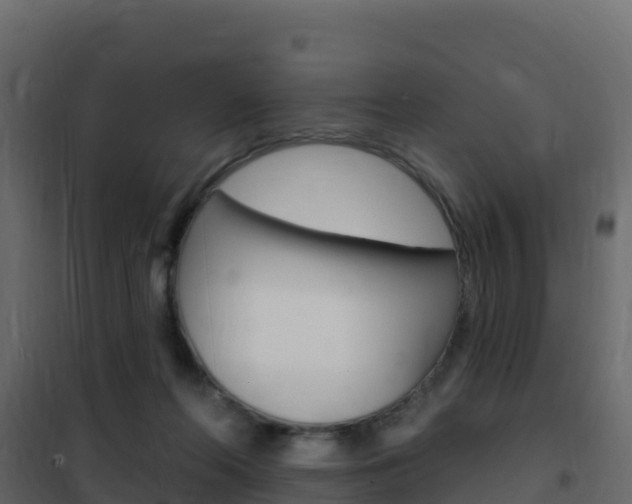 X0000102490214200808081104