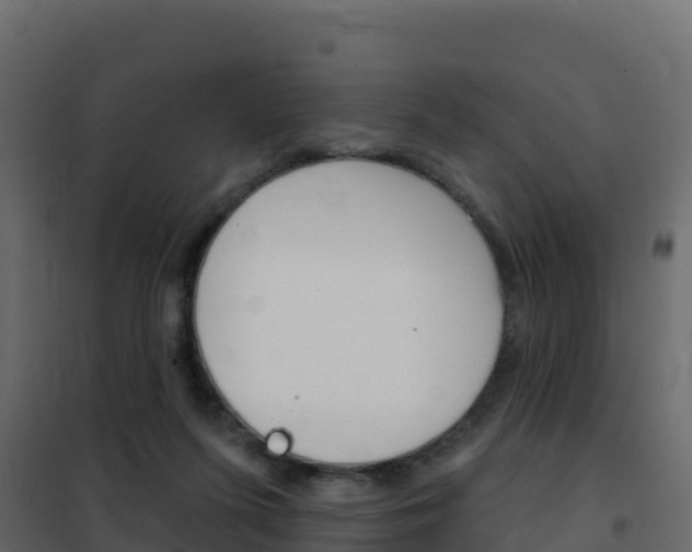 X0000102490215200808081104