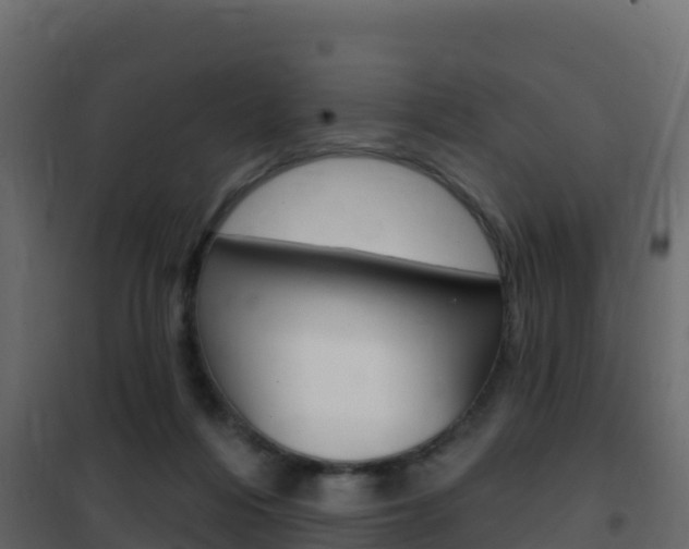 X0000102490216200808081104