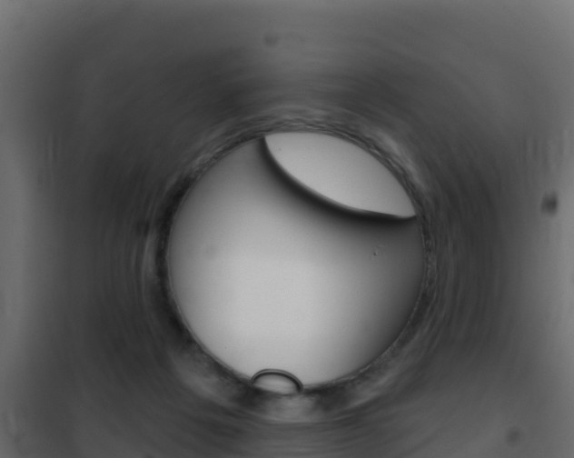 X0000102490217200808081104