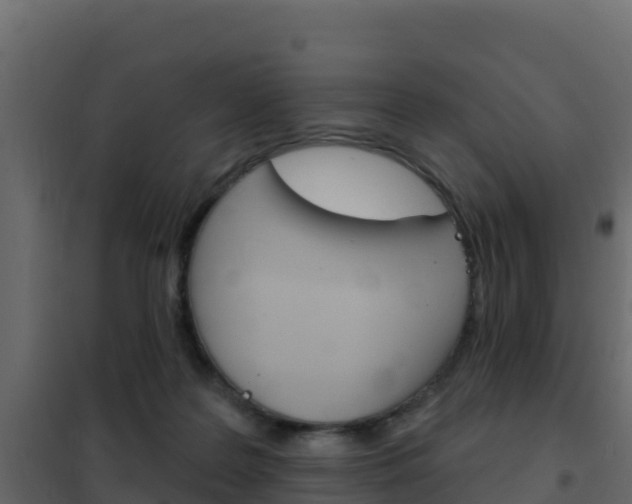 X0000102490219200808081104