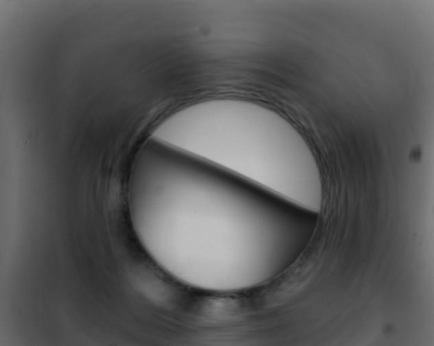 X0000102490220200808081104