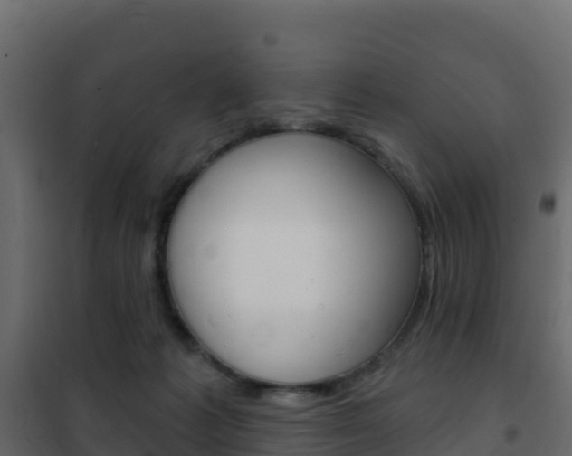 X0000102490221200808081104