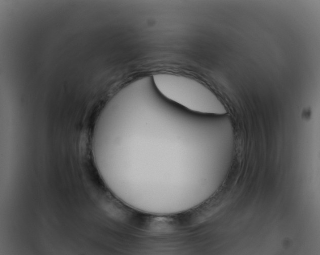 X0000102490222200808081104